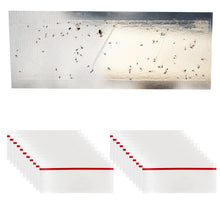Laden Sie das Bild in den Galerie-Viewer, Fliegenfalle Fenster Leimfalle Fensterfalle Insektenschutz Insektenfalle Set