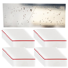 Laden Sie das Bild in den Galerie-Viewer, Fliegenfalle Fenster Leimfalle Fensterfalle Insektenschutz Insektenfalle Set