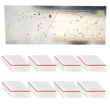 Laden Sie das Bild in den Galerie-Viewer, Fliegenfalle Fenster Leimfalle Fensterfalle Insektenschutz Insektenfalle Set