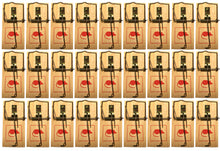 Laden Sie das Bild in den Galerie-Viewer, Mausefallen Holz Mausefalle Set Falle Schlagfalle Tierfalle Maus fangen Mäuse Set
